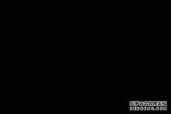 中兴CEO-手机的下一个革命，是全语