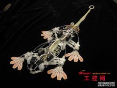 神奇的五大动物jrs英超直播吧_jrs直播_极速体育nba直播吧